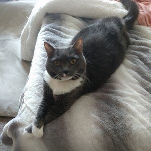 Meet your Posher, Angela